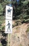 IMG_0169