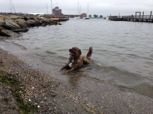 And a little cool down