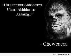 Funny-inspirational-2014-quote